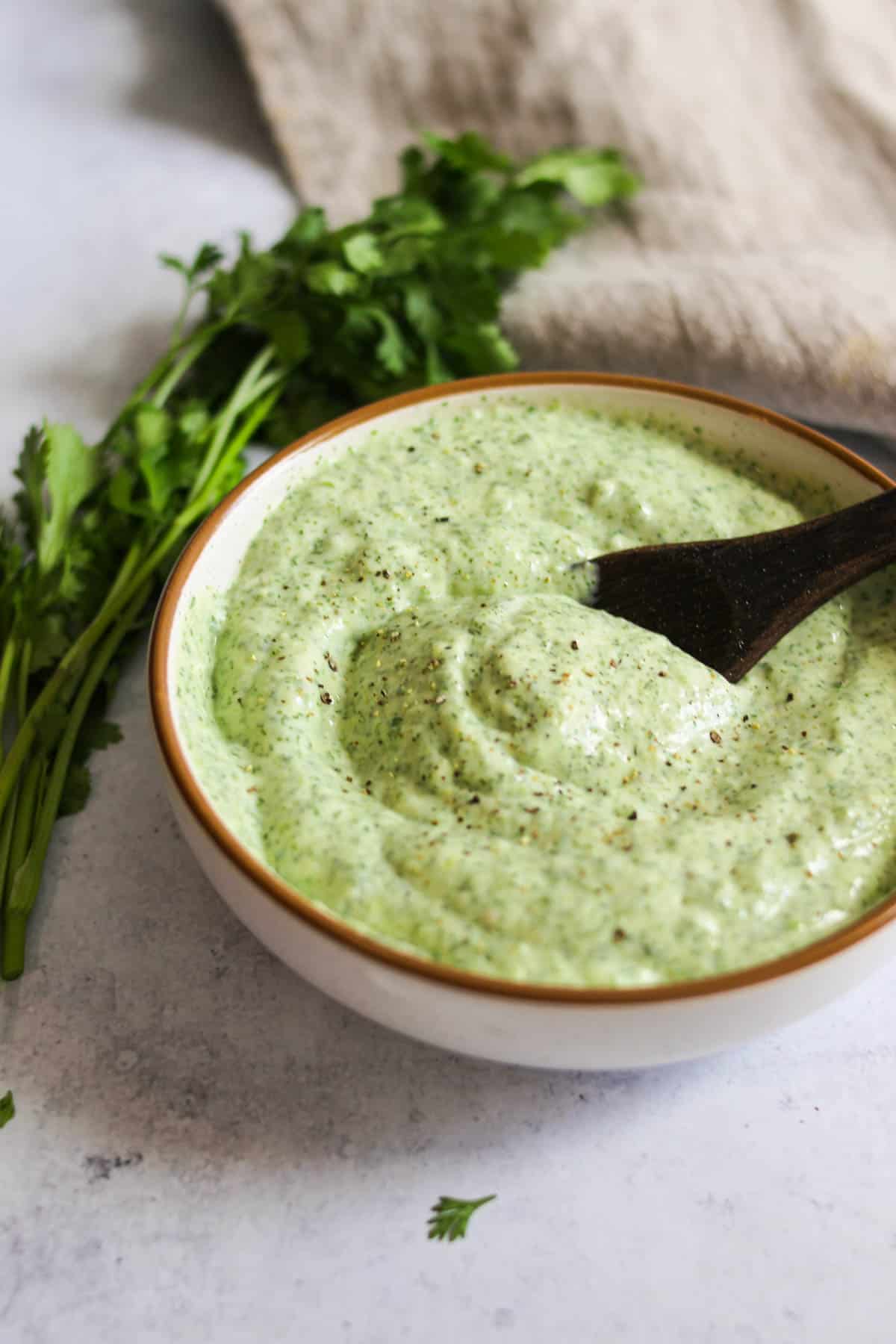 Green sauce in a small bowl with a spoon in it and cilantro in the background. 