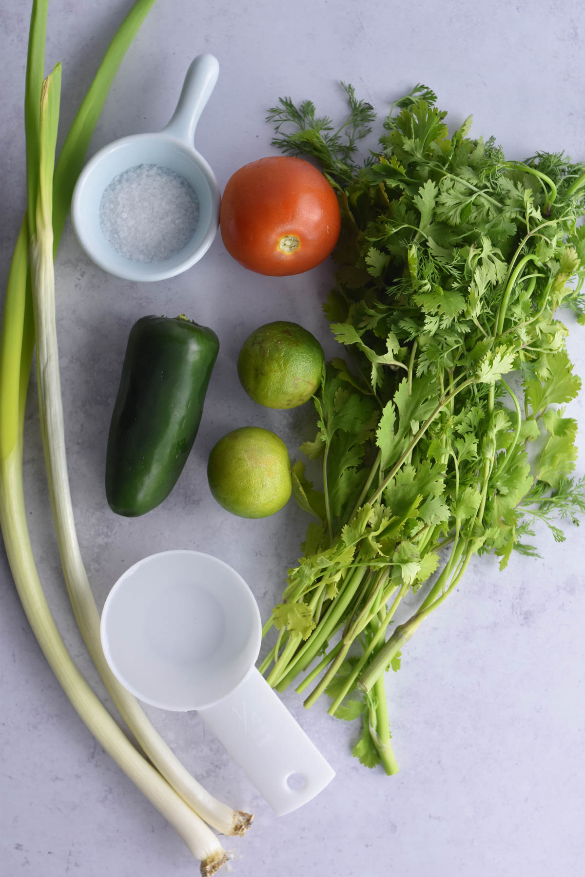 Ingredients needed for Colombian ají on a kitchen counter. 