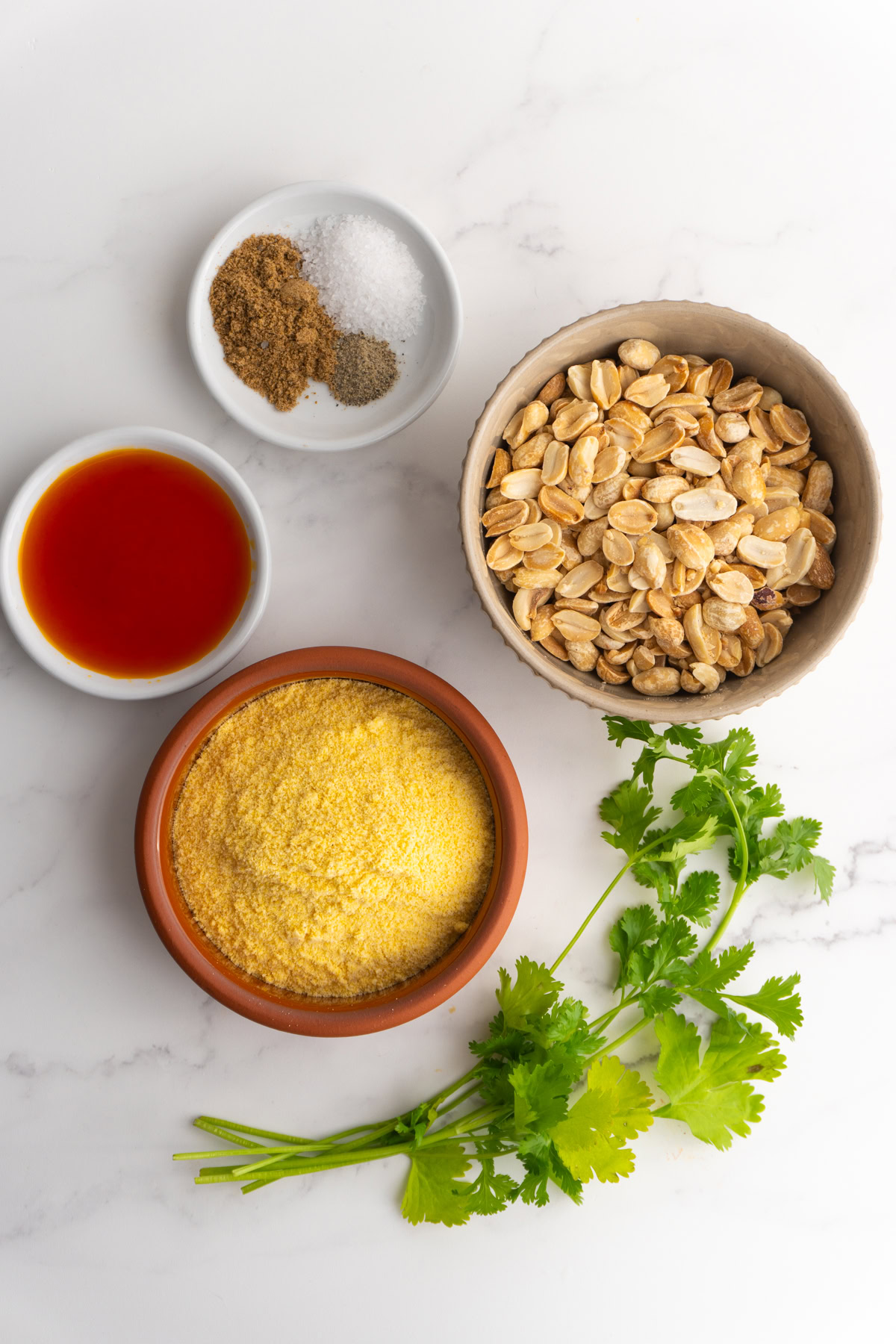 Ingredients needed to make salprieta.